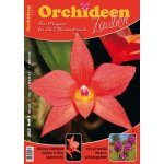 Orchid magic