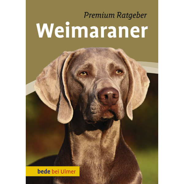 Weimaraner Premium Ratgeber