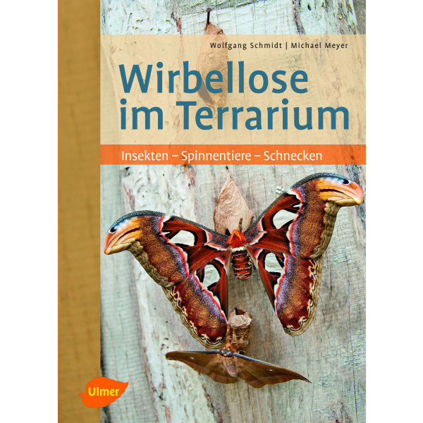 Wirbellose im Terrarium: Insekten - Spinnentiere - Schnecken