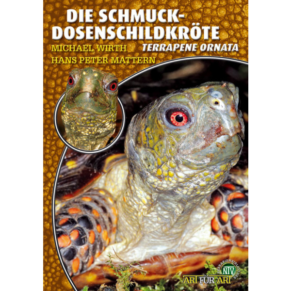 Die Schmuck-Dosenschildkröte