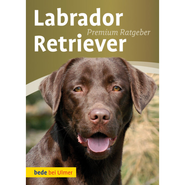 Labrador Retriever Premium Ratgeber