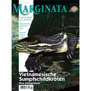 Marginata 43 - Vietnamesische Sumpfschildkröten