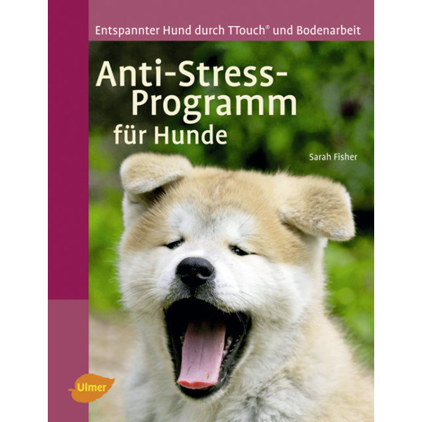 Anti-Stressprogramm für Hunde
