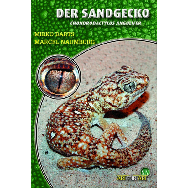 Der Sandgecko