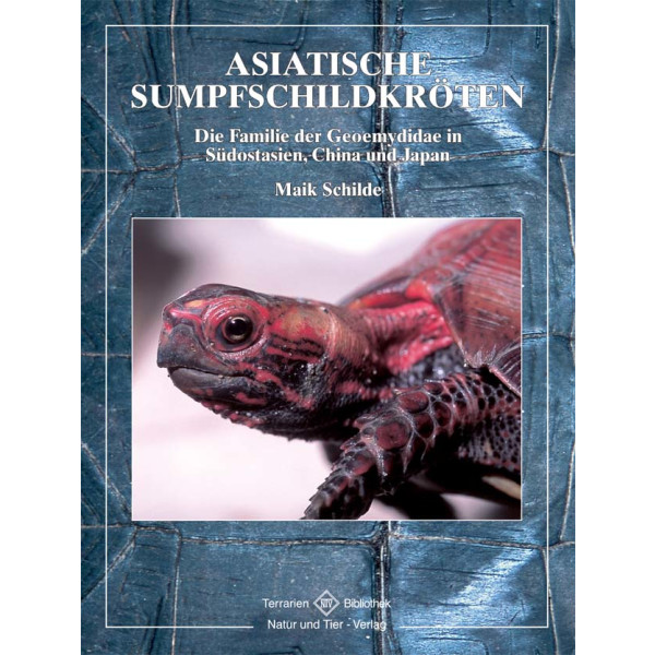Asiatische Sumpfschildkröten