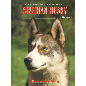 Siberian Husky heute
