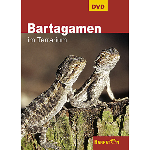 DVD - Bartagamen im Terrarium