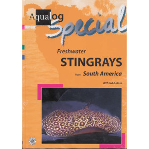 Freshwater Stingrays from South America