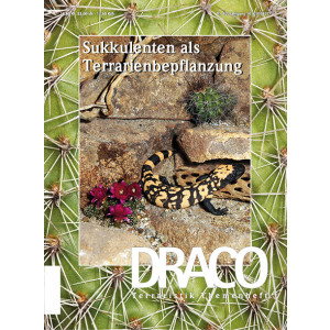 DRACO 62 - Sukkulenten als Terrarienbepflanzung