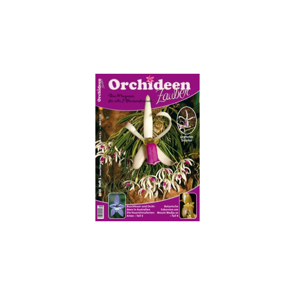 Orchideen Zauber 1 (Januar / Februar 2016)