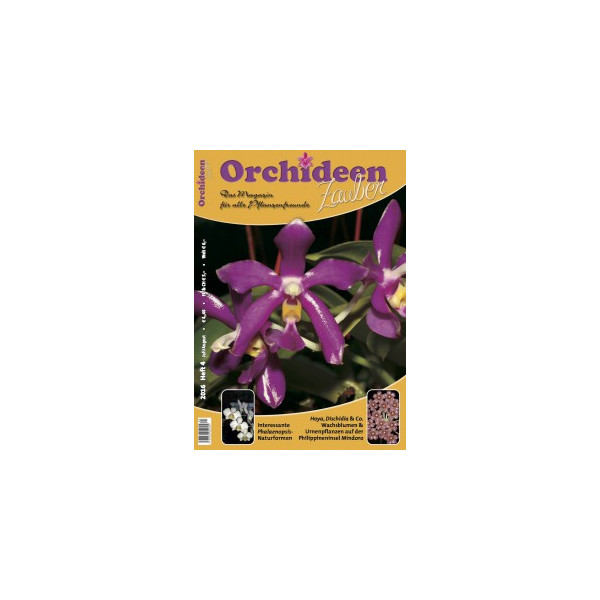 Orchideen Zauber 4 (Juli/August 2016)