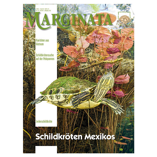 Marginata 47 - Schildkröten Mexikos