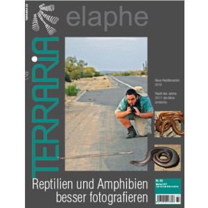 Terraria 65 - Reptilien und Amphibien besser fotografieren