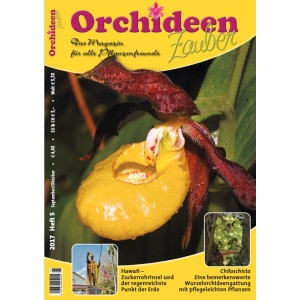 Orchideen Zauber 5 (September/Oktober 2017)