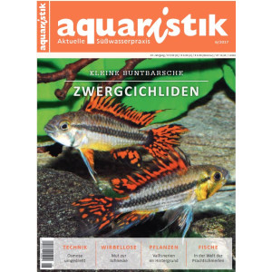 Aquaristik - aktuelle Süßwasserpraxis 6/2017