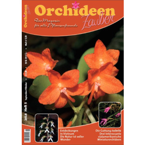 Orchideen Zauber 5 (September/Oktober 2018)