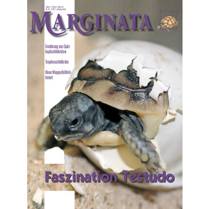 Marginata 55 - Faszination Testudo
