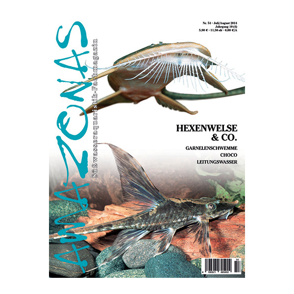 Amazonas 54 - Hexenwelse & Co. (Juli/ August 2014)