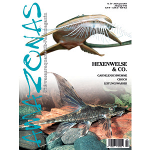 Amazonas 54 - Hexenwelse & Co. (Juli/ August 2014)