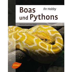 Boas und Pythons Ihr Hobby