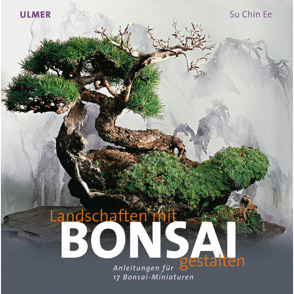 Landschaften Bonsai
