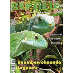 Reptilia 138 - Baumbewohnende Leguane (August/September...