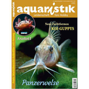 aquaristik 4/2020
