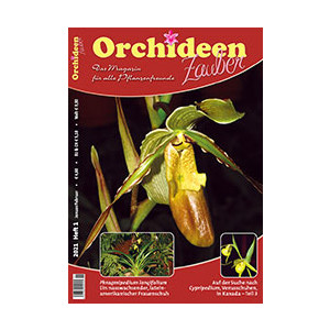 Orchideen Zauber 1 (Januar/Februar 2021)
