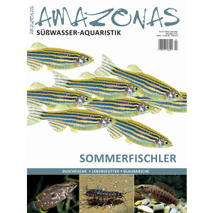 Amazonas 94 - Sommerfischler