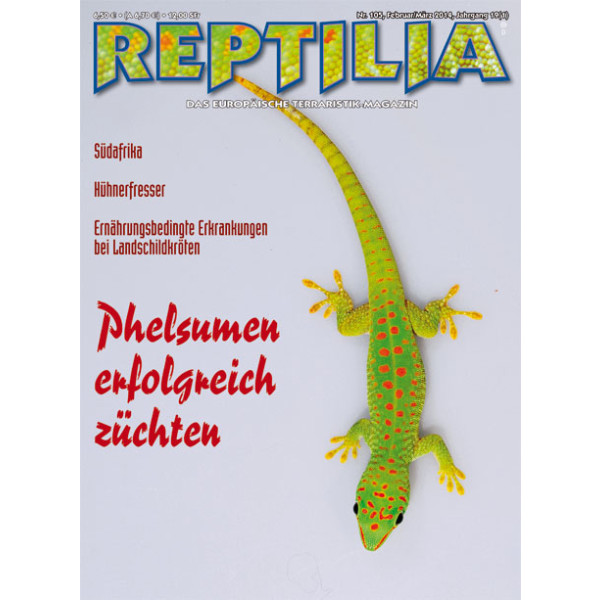 Reptilia 105 -  Phelsumen erfolgreich züchten (Februar/März 2014)