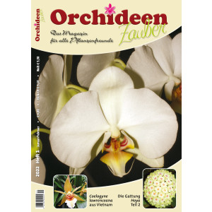 Orchideen Zauber 1 (Januar/Februar 2022)
