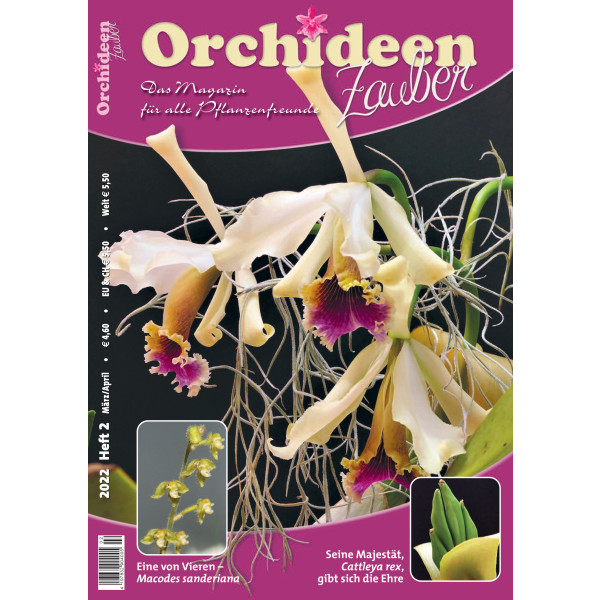 Orchideen Zauber 2 (März/April 2022)