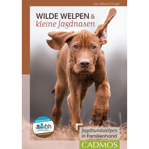 Wilde Welpen & kleine Jagdnasen - Jagdhundwelpen in...