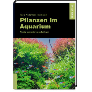 Pflanzen im Aquarium - Richtig kombinieren und pflegen