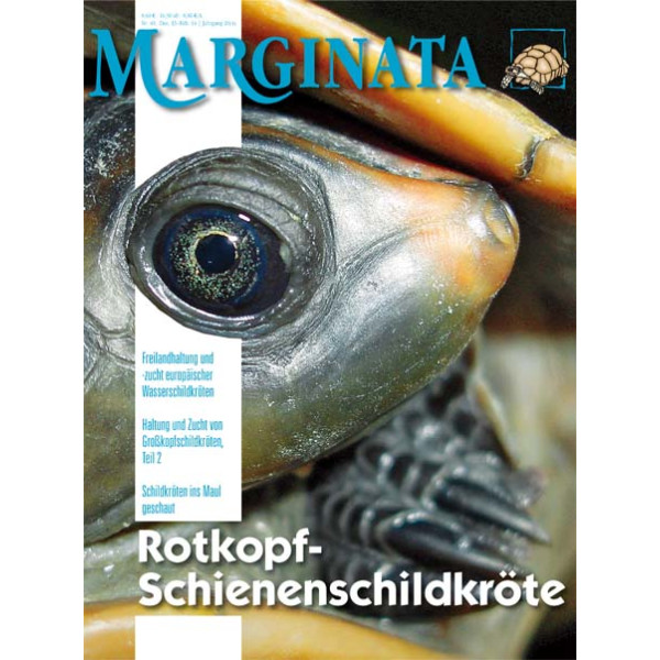 Marginata 40 - Rotkopf-Schienenschildkröten