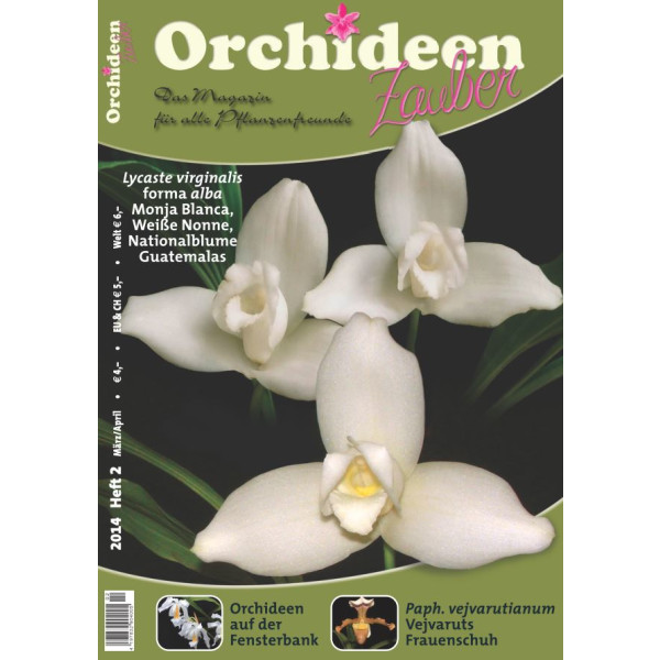 Orchideen Zauber 6 (November/Dezember 2013)
