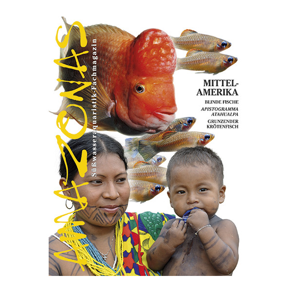 Amazonas 49 - MITTEL-AMERIKA (September/Oktober 2013)