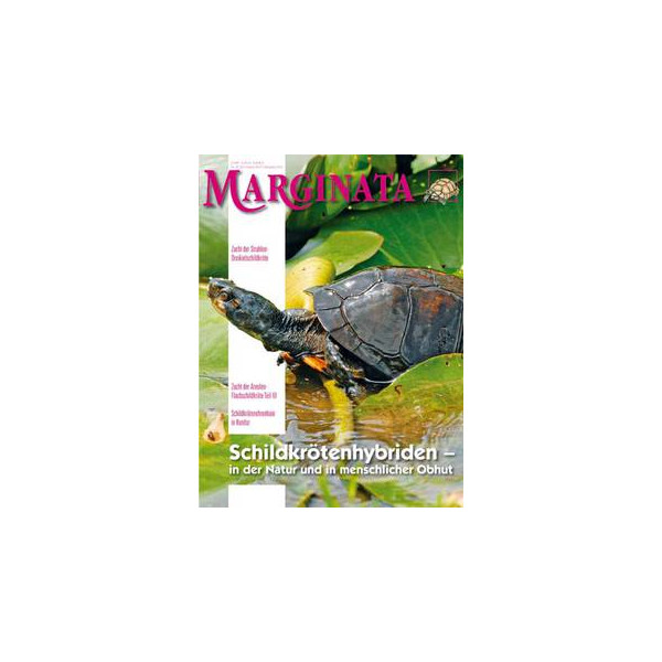 Marginata 38 - Schildkrötenhybriden