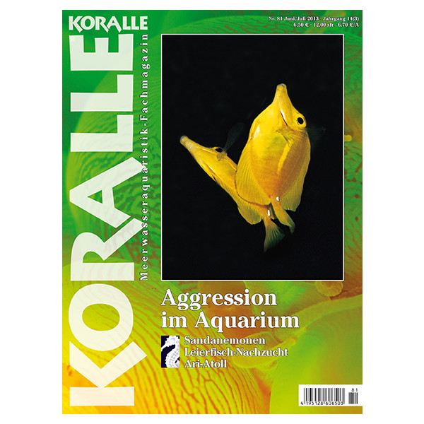 KORALLE 81 - Aggression im Aquarium (Juni/Juli 2013)